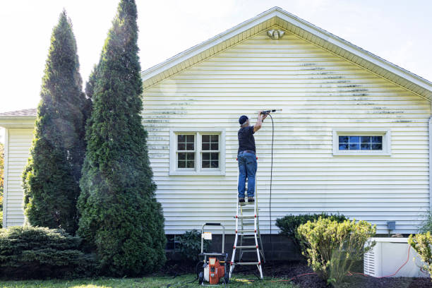 Best Spring Cleaning  in Talluh, LA